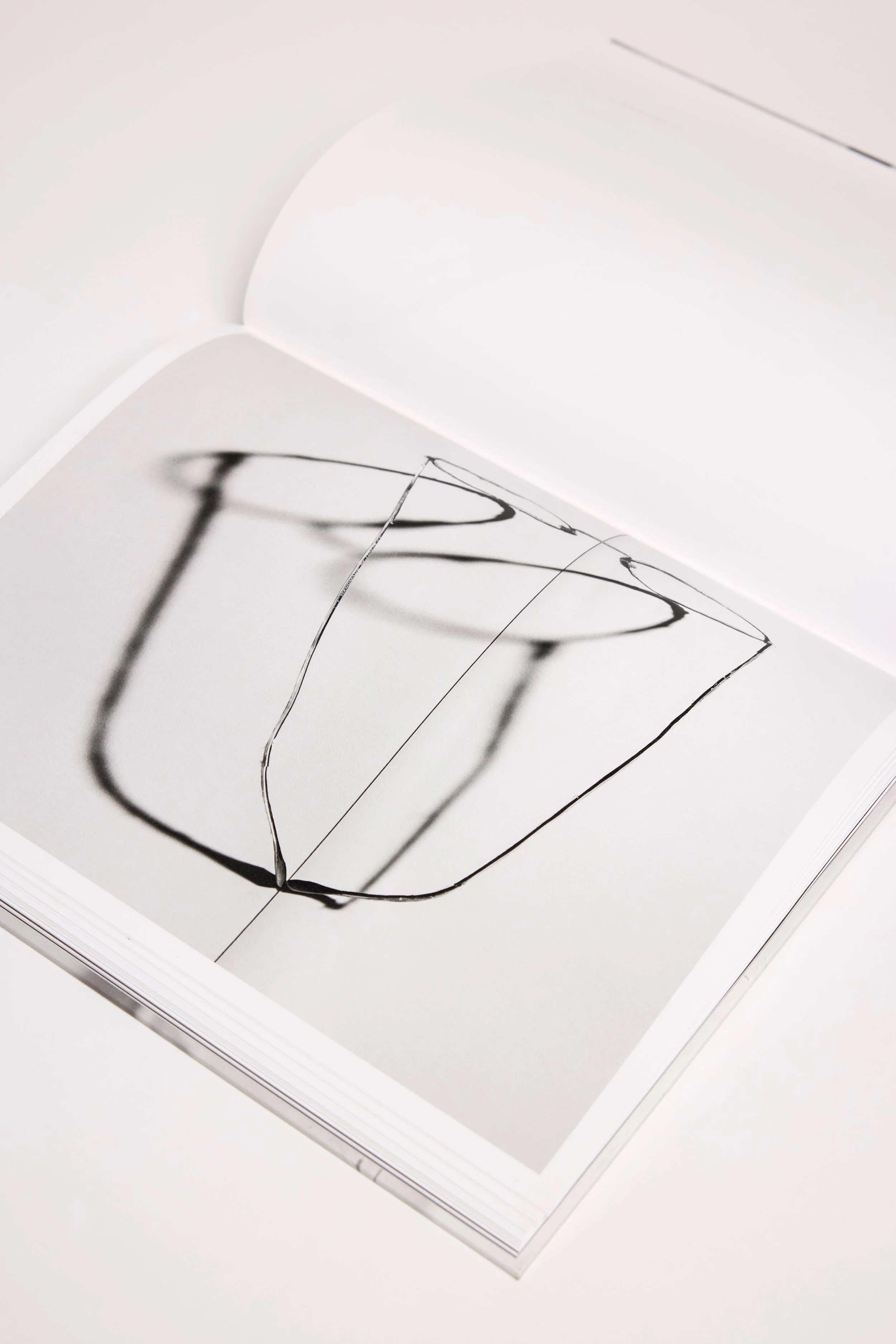 20260324 Radius 0335.jpg