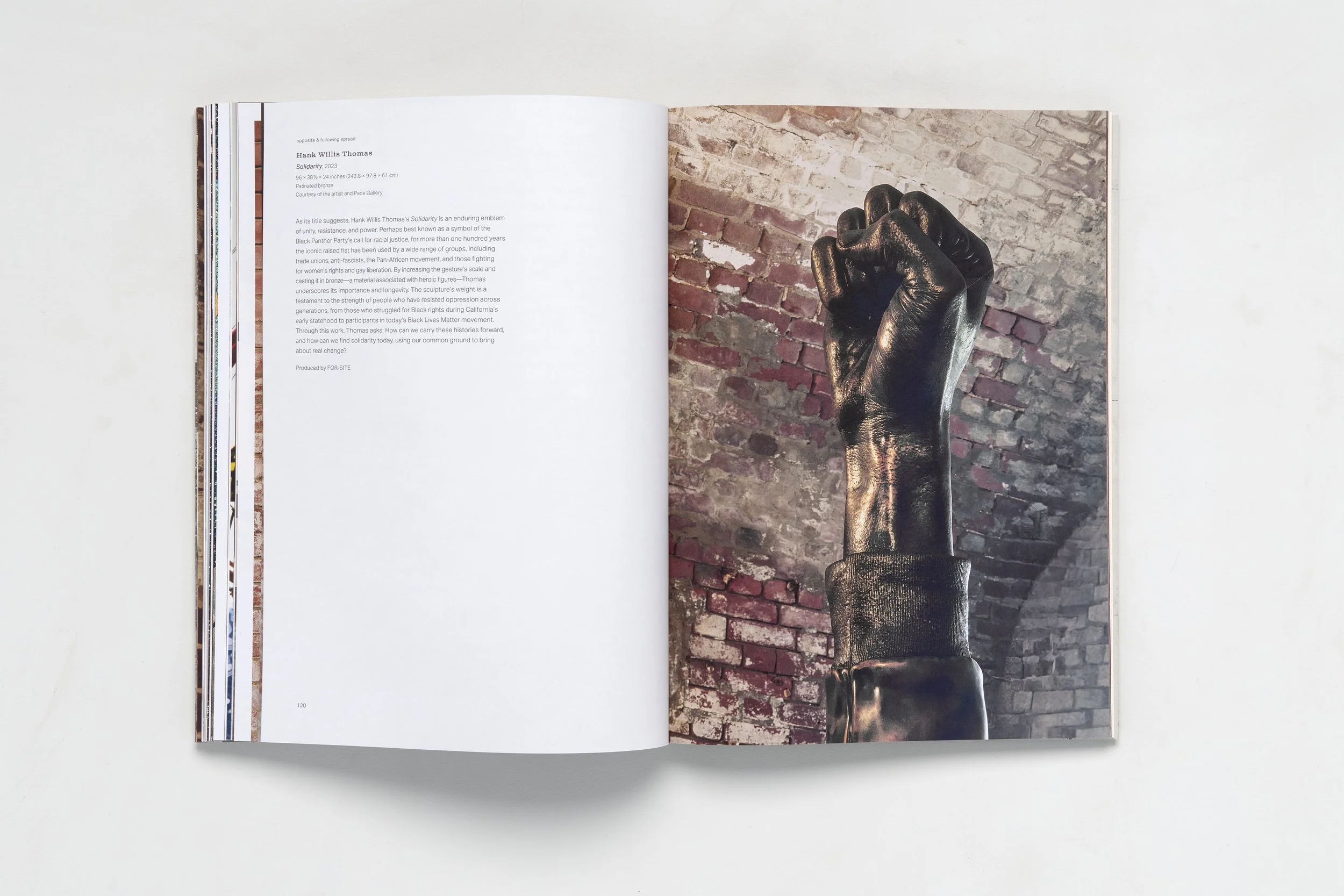 20260105 Radius 0474.jpeg