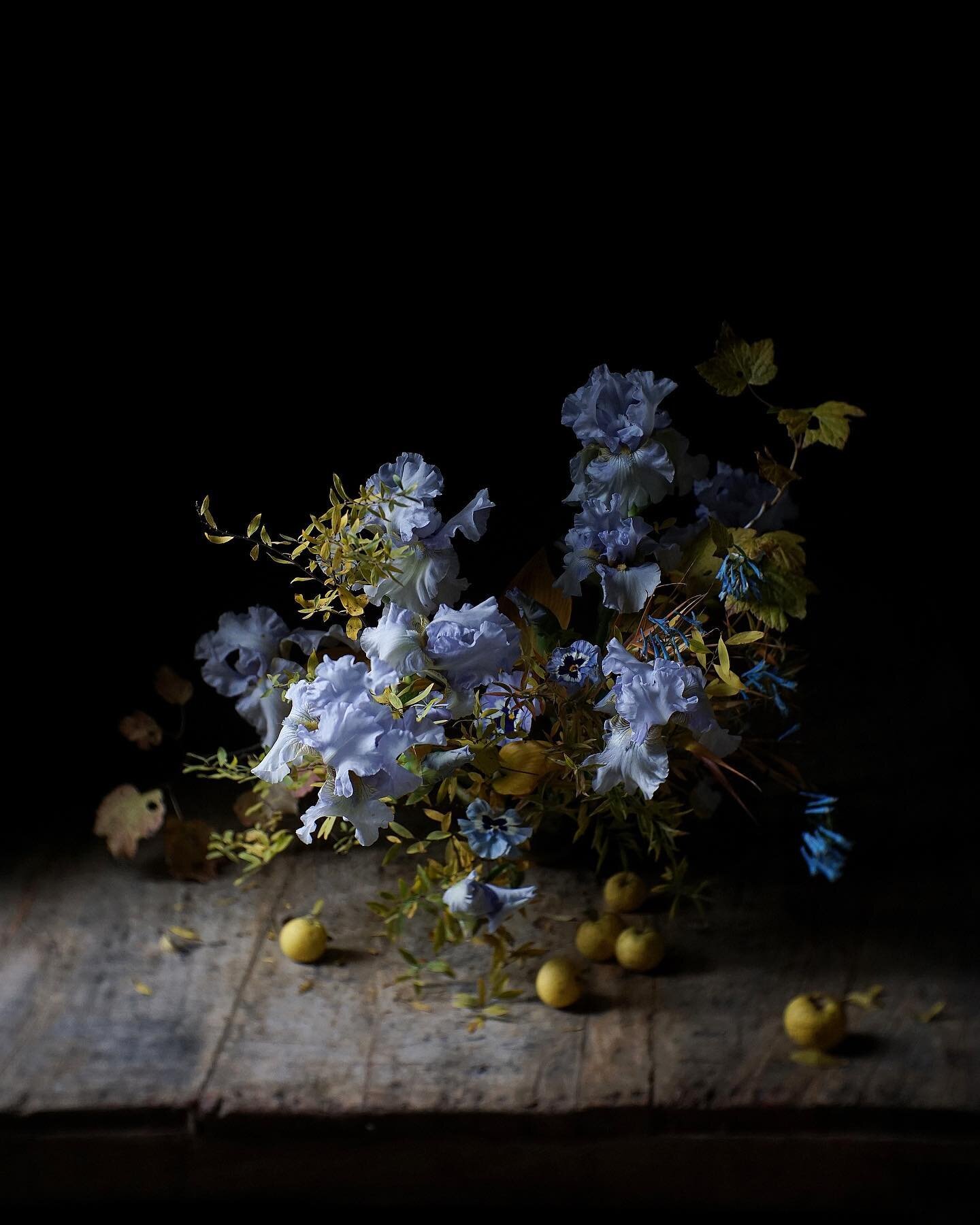 Irises, pansies, and a sprinkling of other blue beauties tucked into a bed of golden fall foliage... an unexpected finale to another year of growing flowers. As we enter the season of giving thanks, I can&rsquo;t help but feel immensely grateful for 