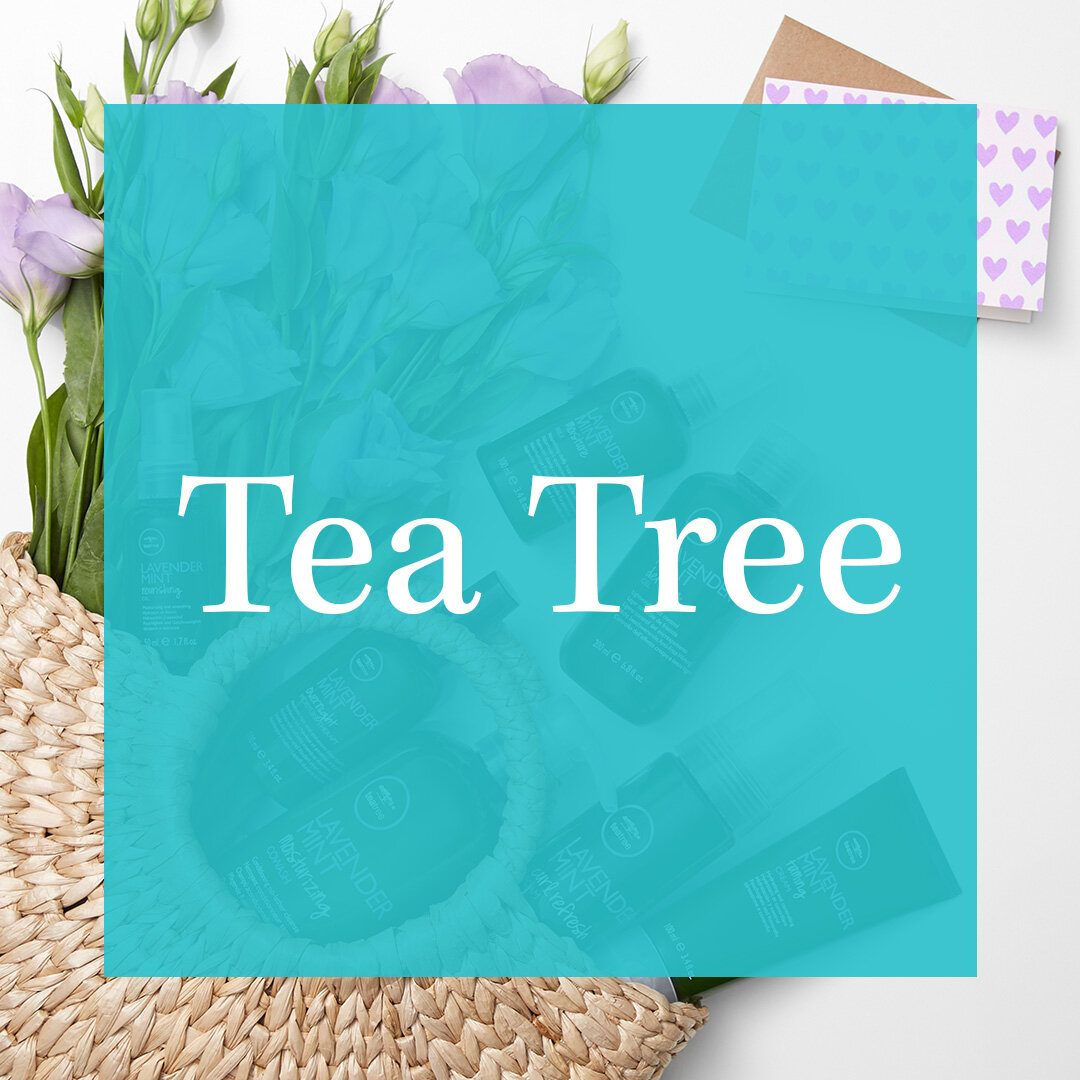 tea-tree.jpg
