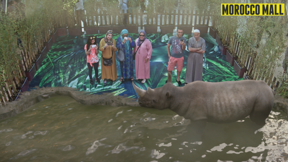 inde-preview-3075635.png