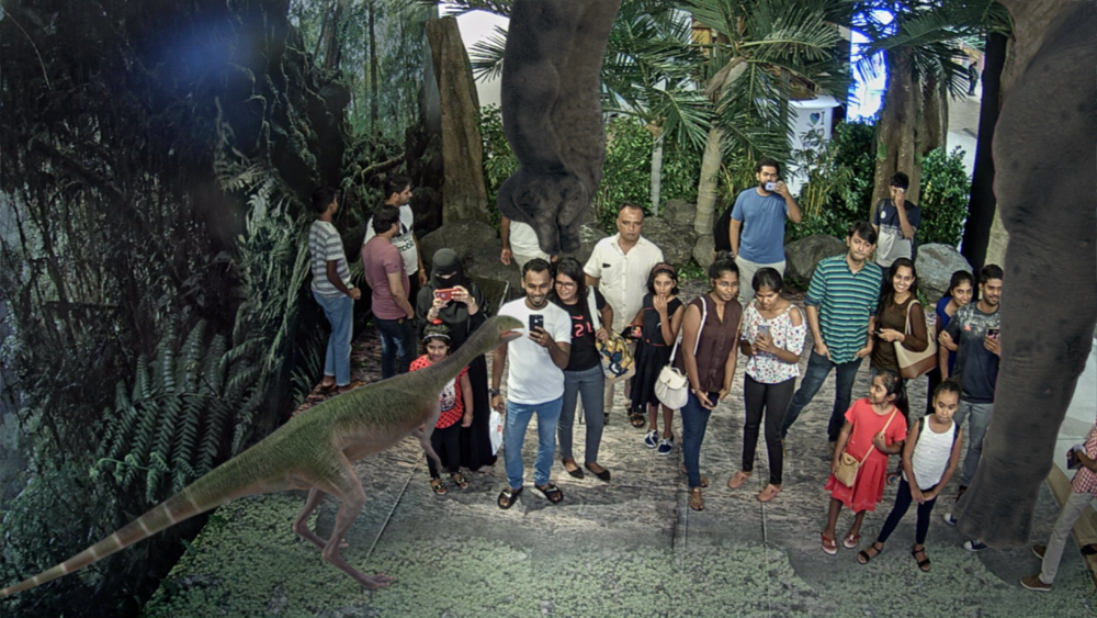 inde-preview-894179.png