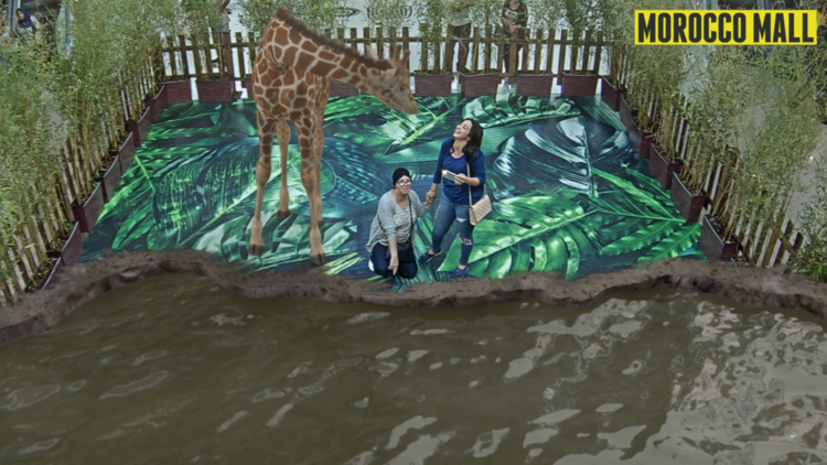 inde-preview-3074548.png