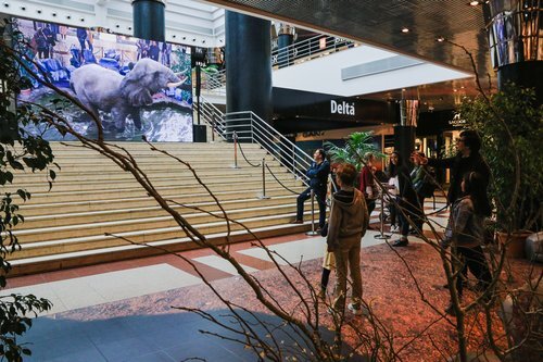 augmented-nature-ar-experience-launches-at-lisbons-amoreiras-shopping-center-1.jpg