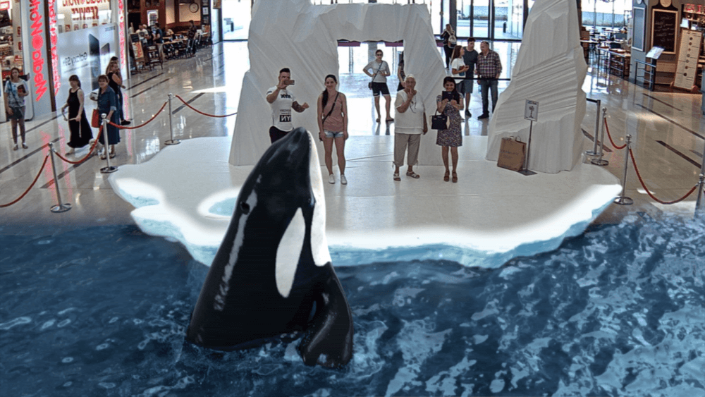 Augmented Animals 3D Animals in Aquariums? Sooner Rather Than Later — INDE - The Leading ...