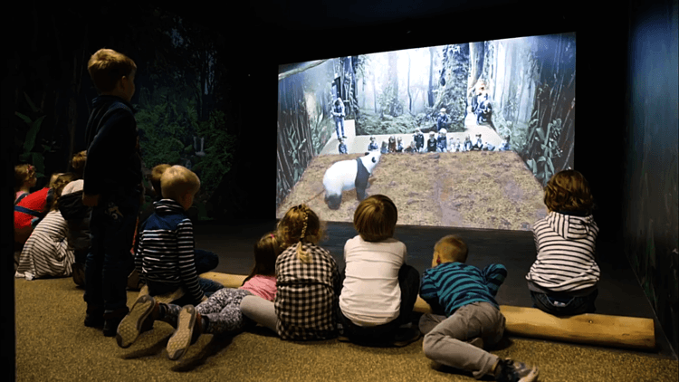 augmented-reality-experience-in-german-zoo-zoom-erlebniswelt-in-gelsenkirchen-04 (1) (1).png