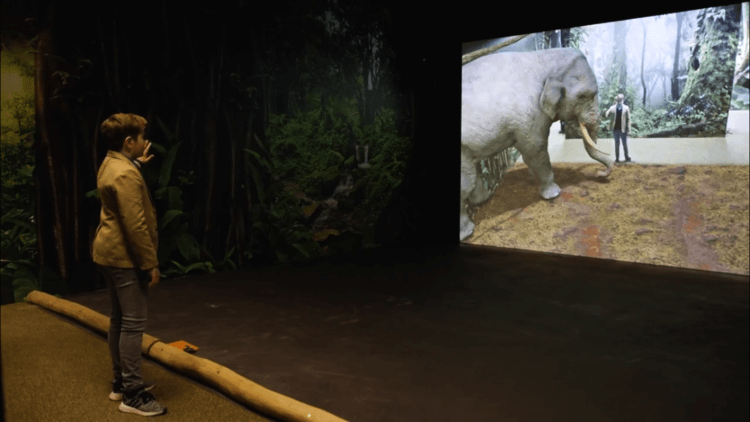 augmented-reality-experience-in-german-zoo-zoom-erlebniswelt-in-gelsenkirchen-03 (1) (1).png