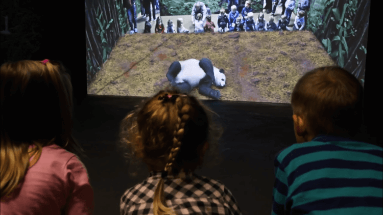 augmented-reality-experience-in-german-zoo-zoom-erlebniswelt-in-gelsenkirchen-02 (1) (1).png