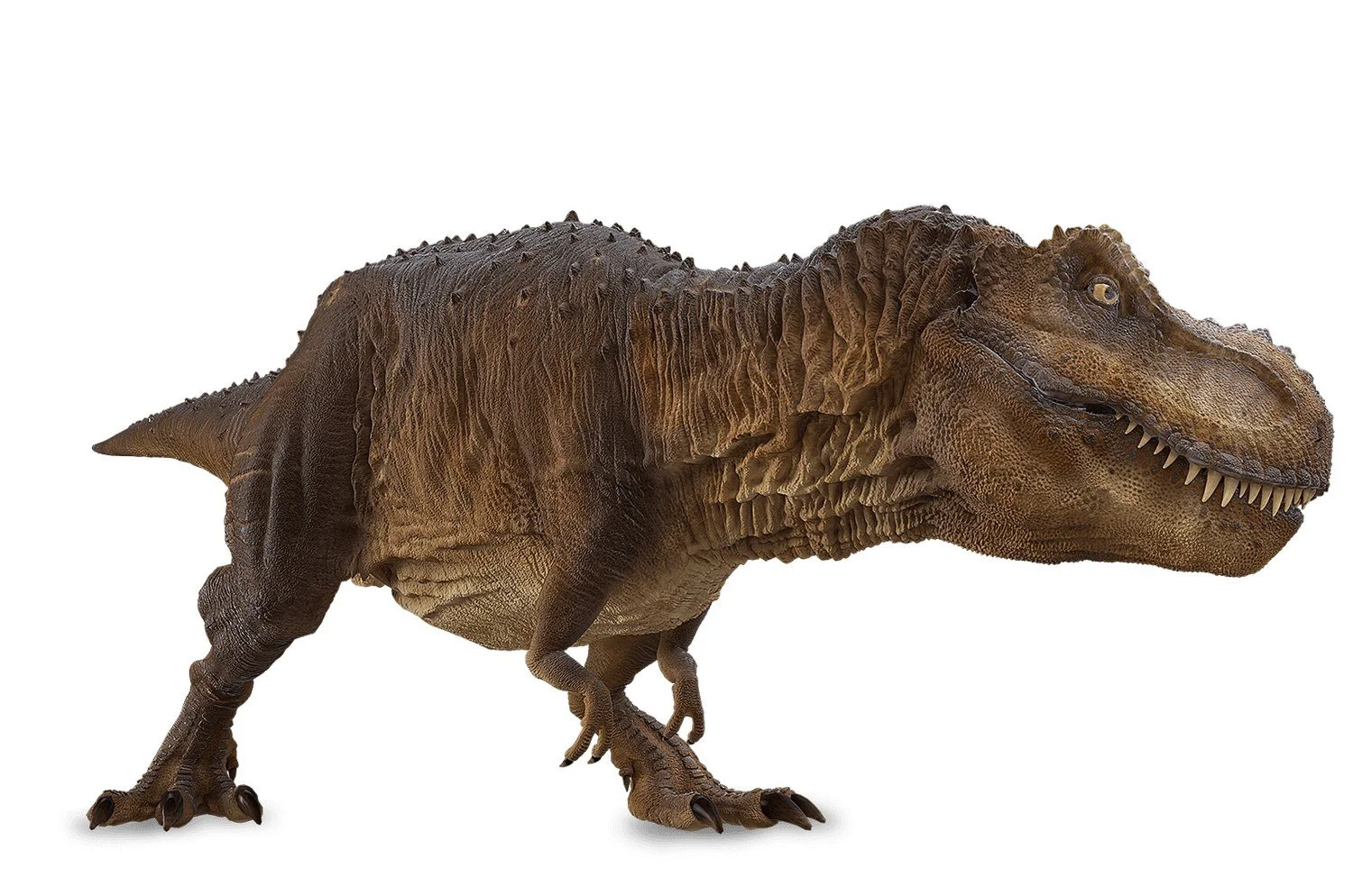 Off-the-shelf BroadcastAR dinosaur content package for augmented reality activations