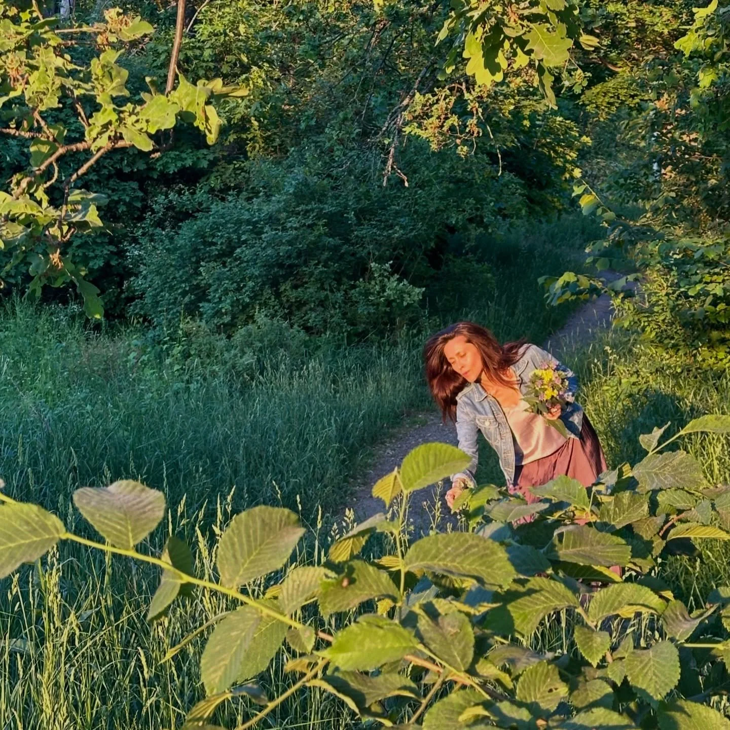 K&auml;nner ni att det b&ouml;rjar bli lite ljusare ute?
N&aring;gon som har h&ouml;rt v&aring;rf&aring;glarna sjunga &auml;n? Naturen har koll. V&aring;rf&aring;glarna kommer med ljuset. Allra f&ouml;rst ut &auml;r talgoxen.
 
P&aring; min &auml;lsk