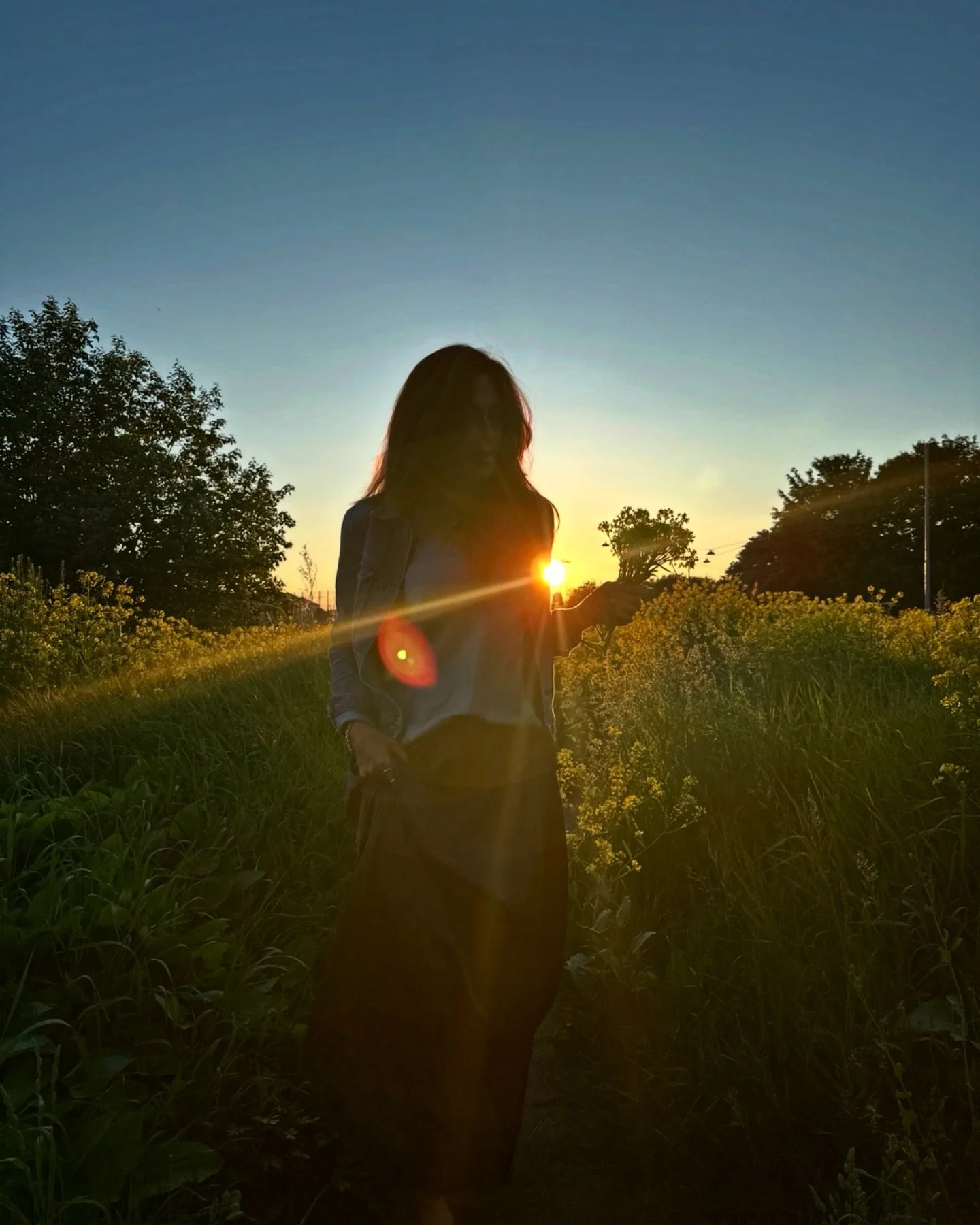 Snart &auml;r vi h&auml;r&hellip;☀️☀️☀️
Ljumma sommarkv&auml;llar, varma bad, enkelheten, solens l&auml;kande str&aring;lar, vilda blommor, fullsatta uteserveringar, ljuset och naturen som ger oss s&aring; mycket vackert.
Jag plockade mina f&ouml;rst