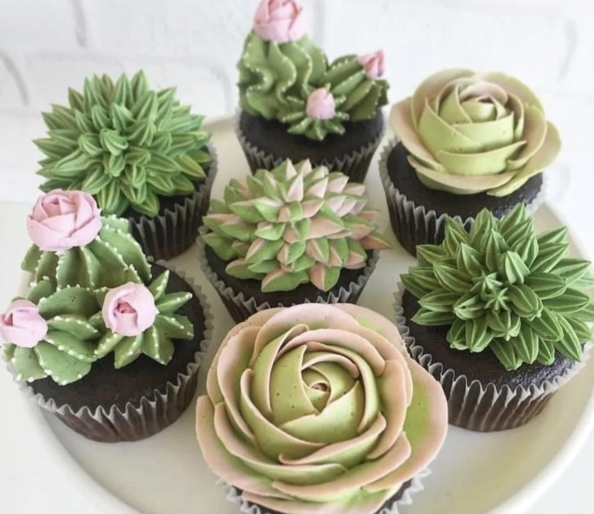 Succulent Cupcake Decorating Class with Sarah Felton