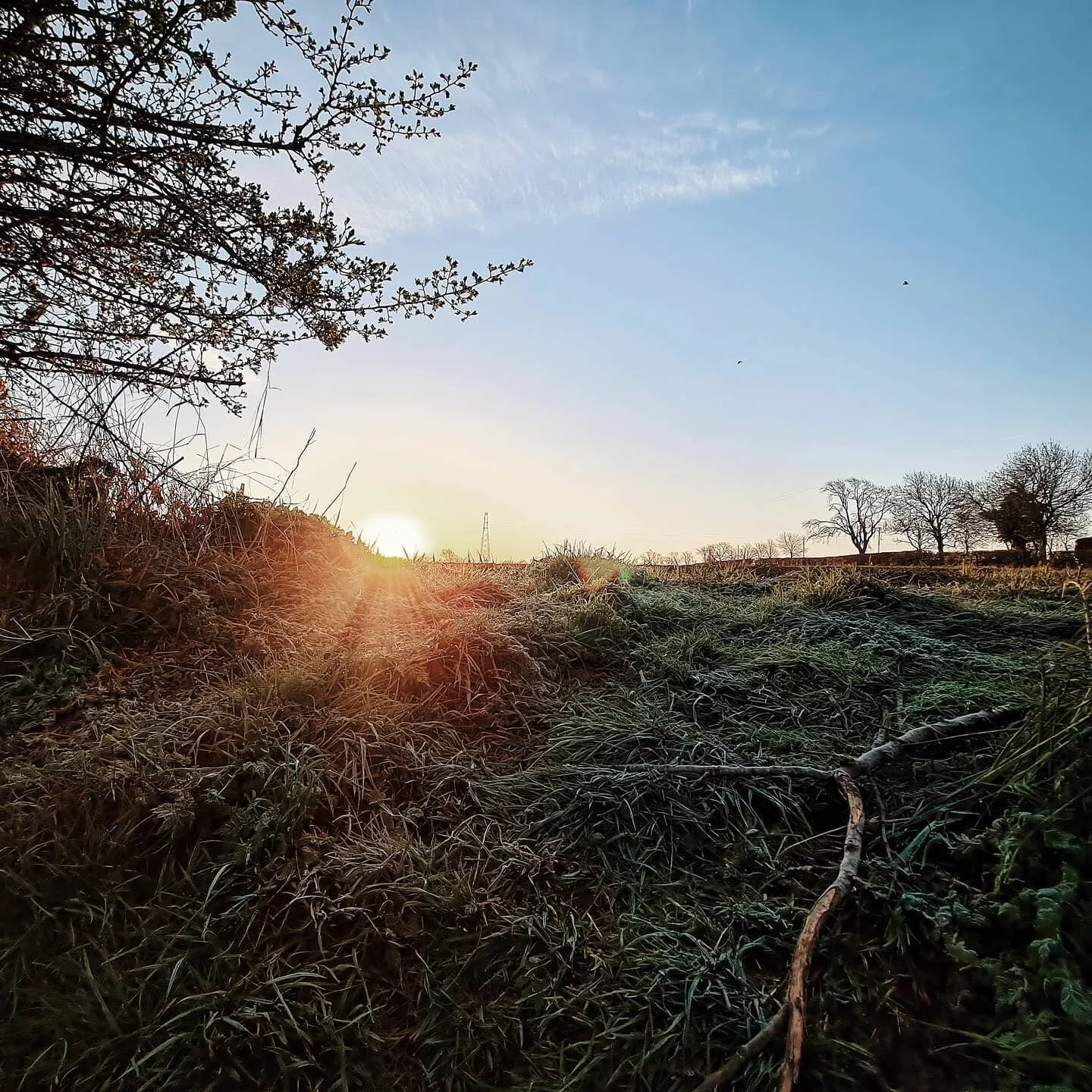 Early morning ride
#mtb #grass #field #sun #dailyexercise