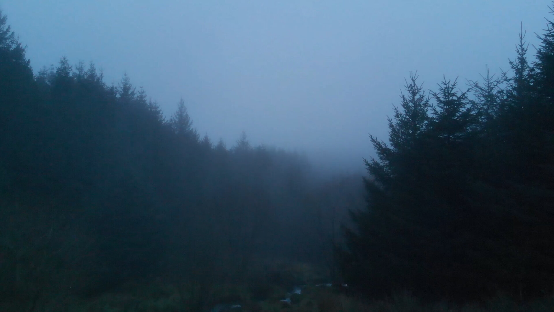 drone fog00000121.jpg