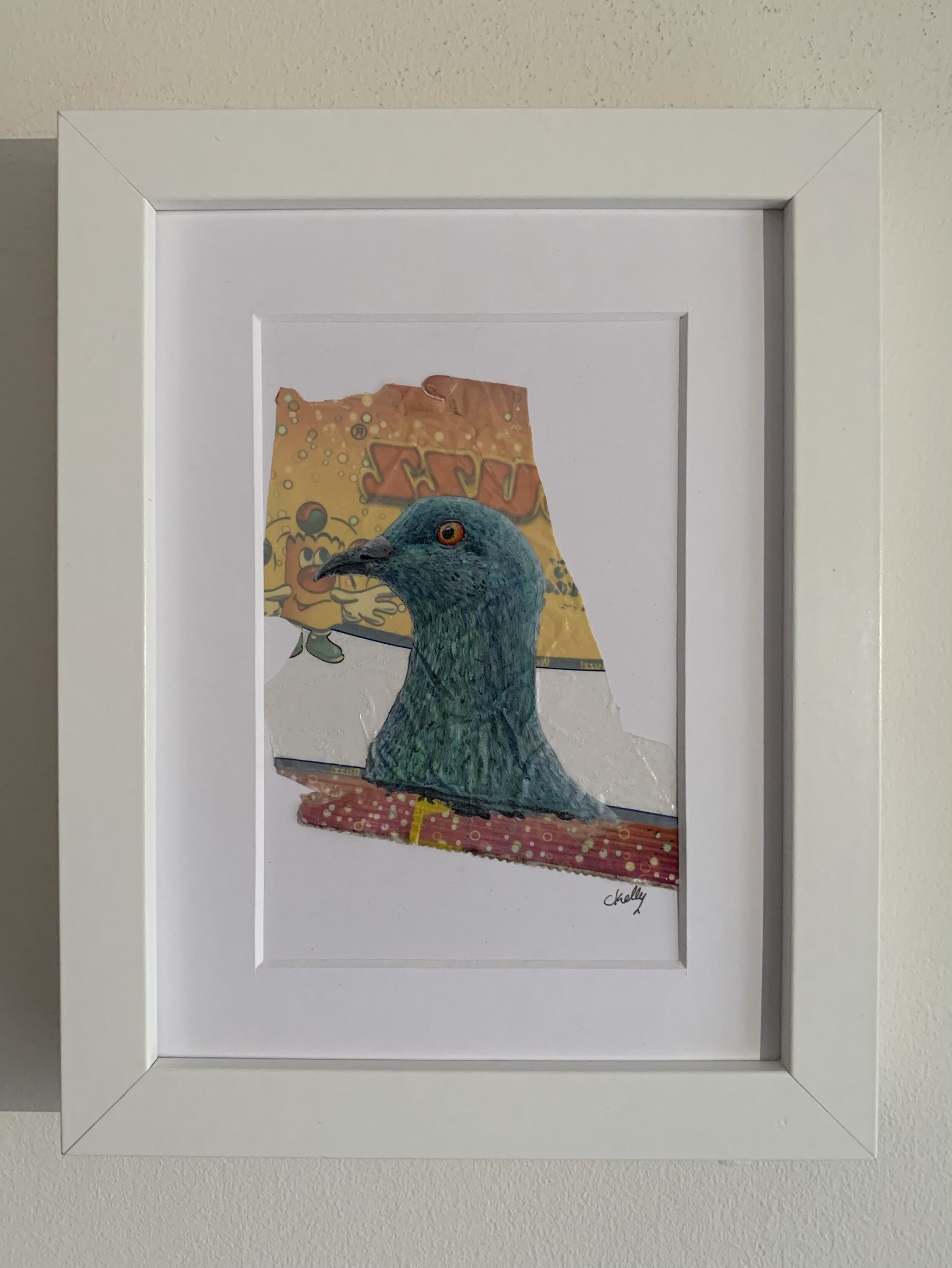 Framed image of a Pigeon painting on litter