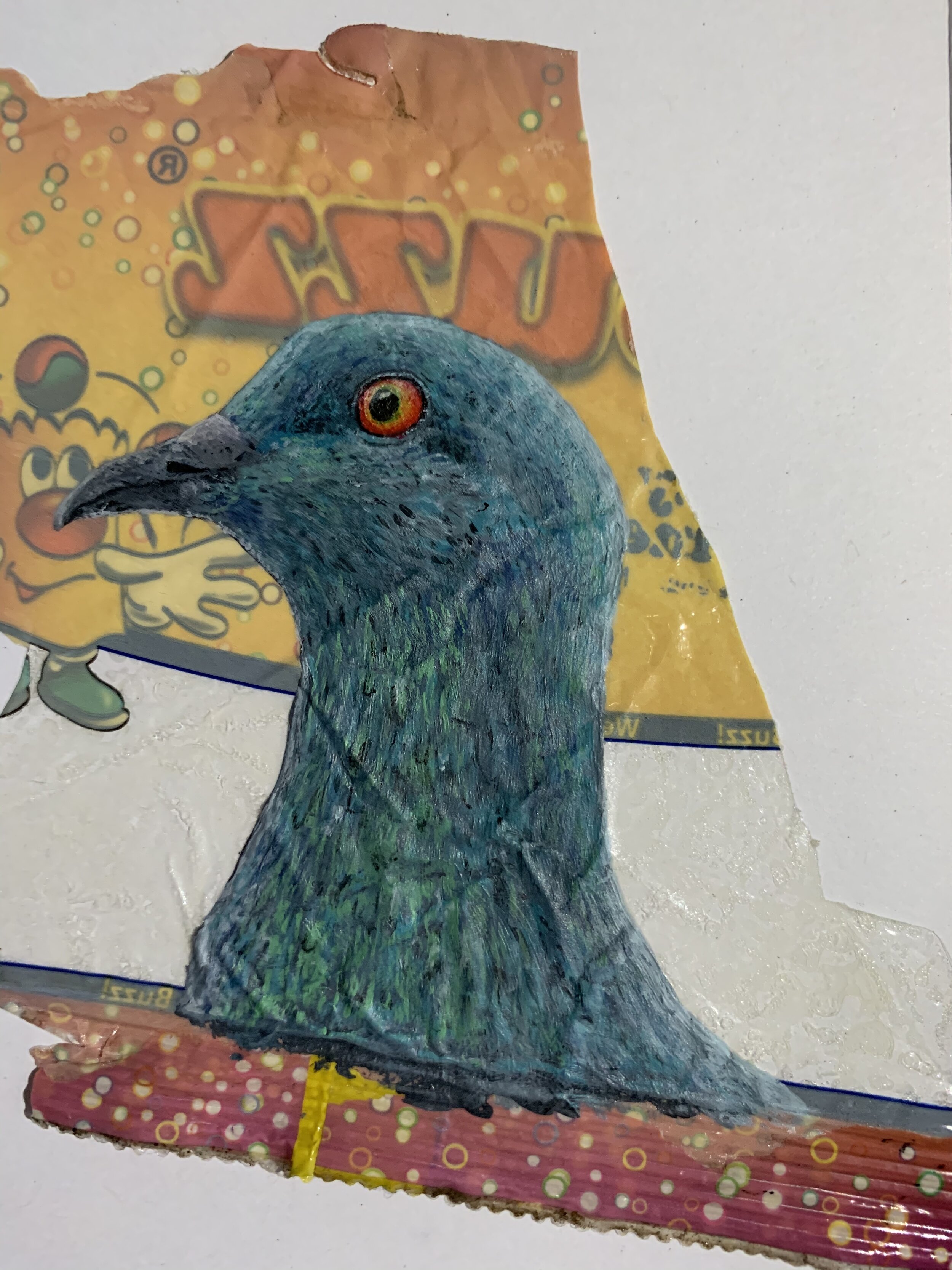 Close up of a Pigeon painting on litter