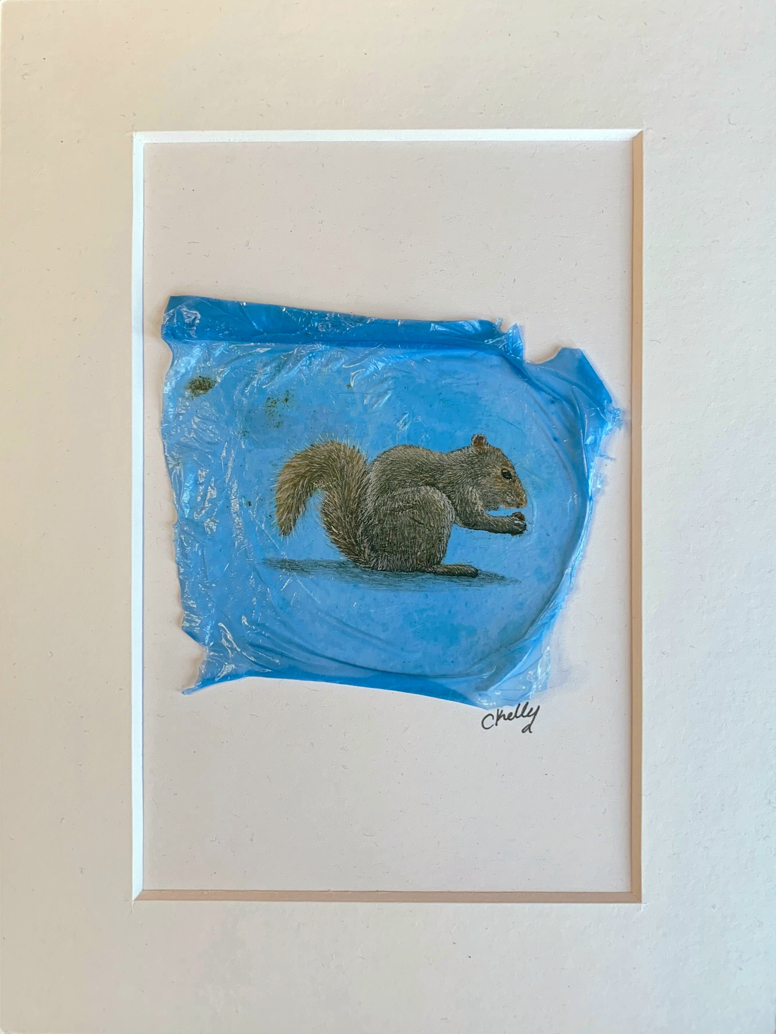 =Squirrel painting on litter