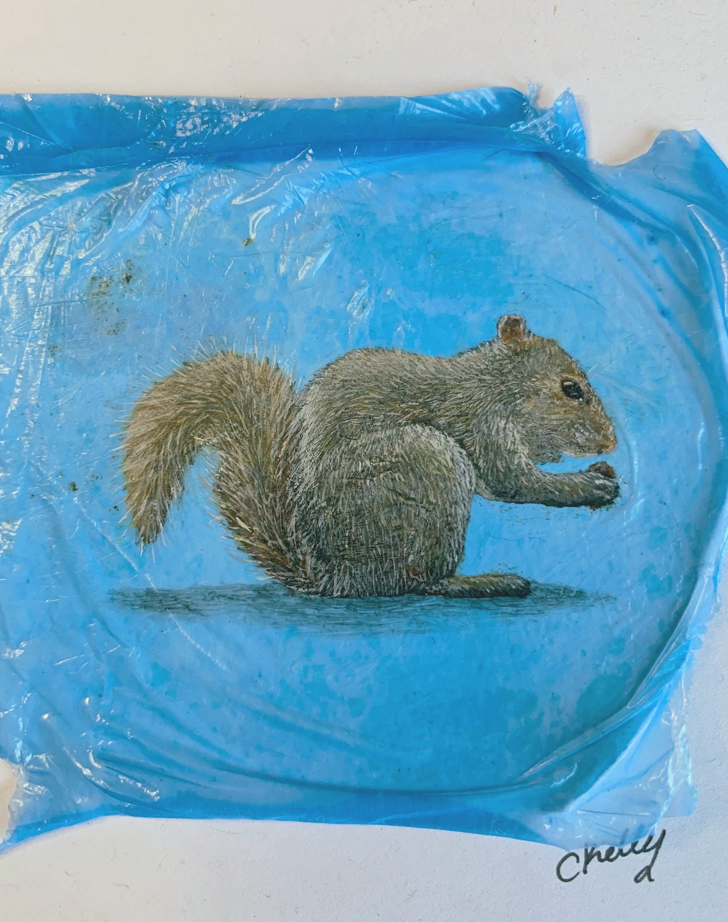 Close up of Squirrel painting on litter