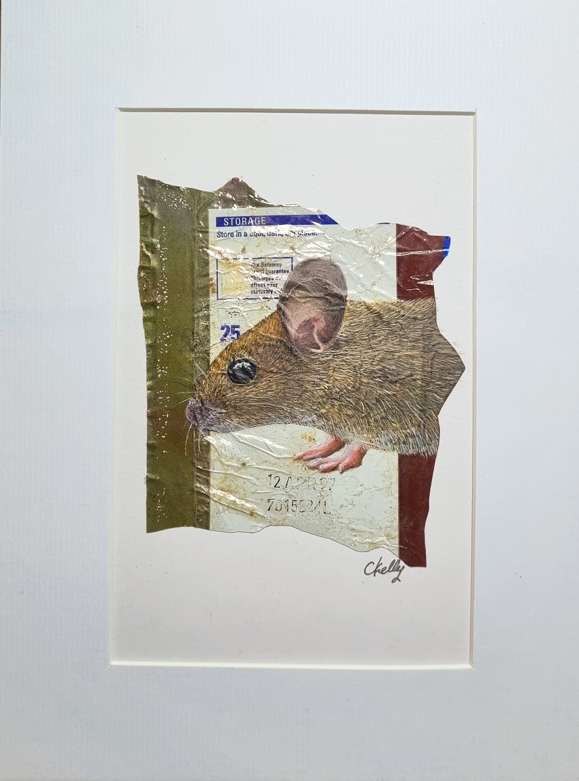 Urban litter art mouse (1).jpg