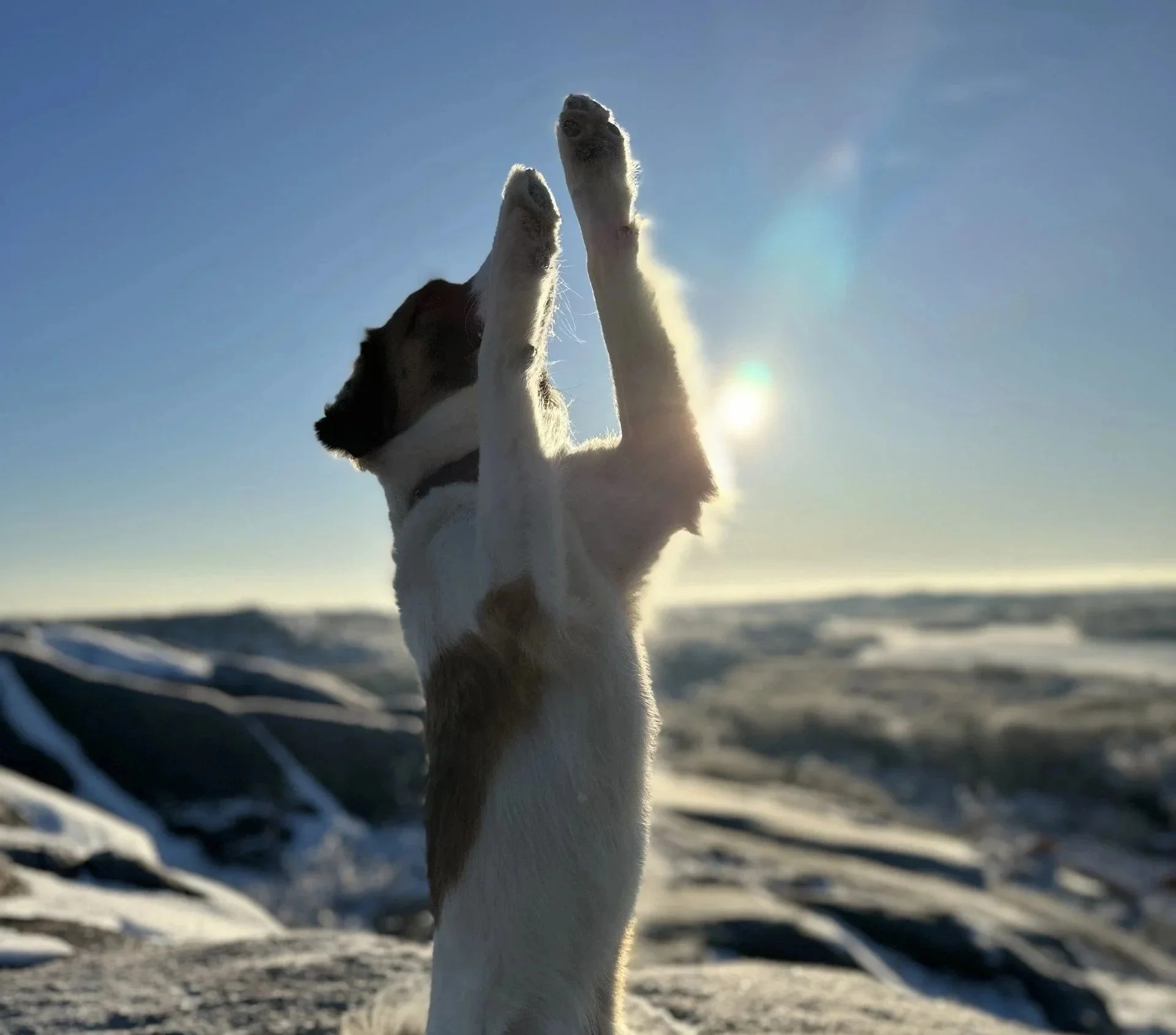 Avvikande Öppettider 12/12