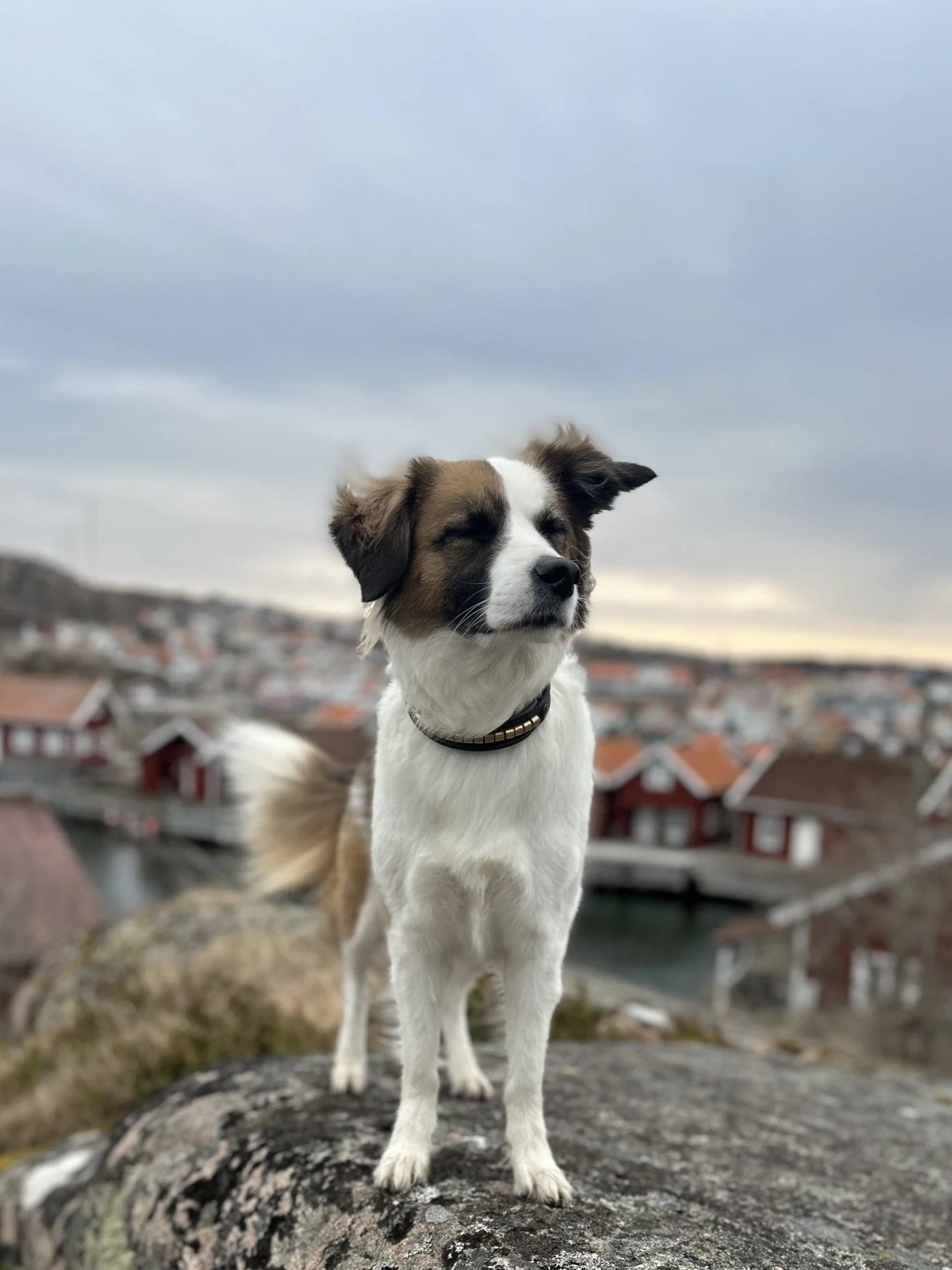 Avvikande öppettider