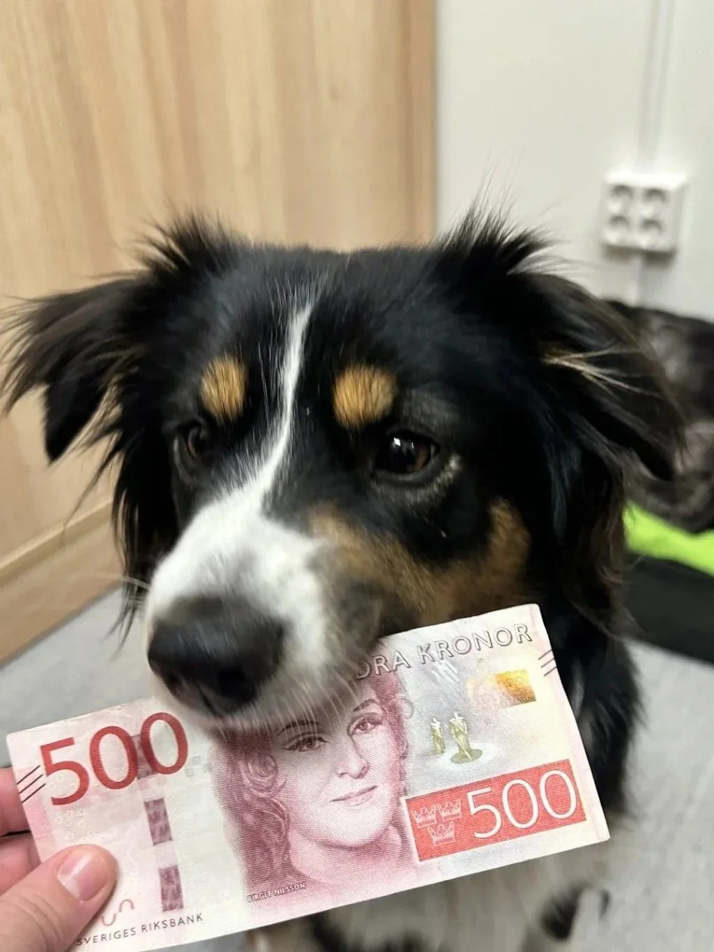 Kontantfria