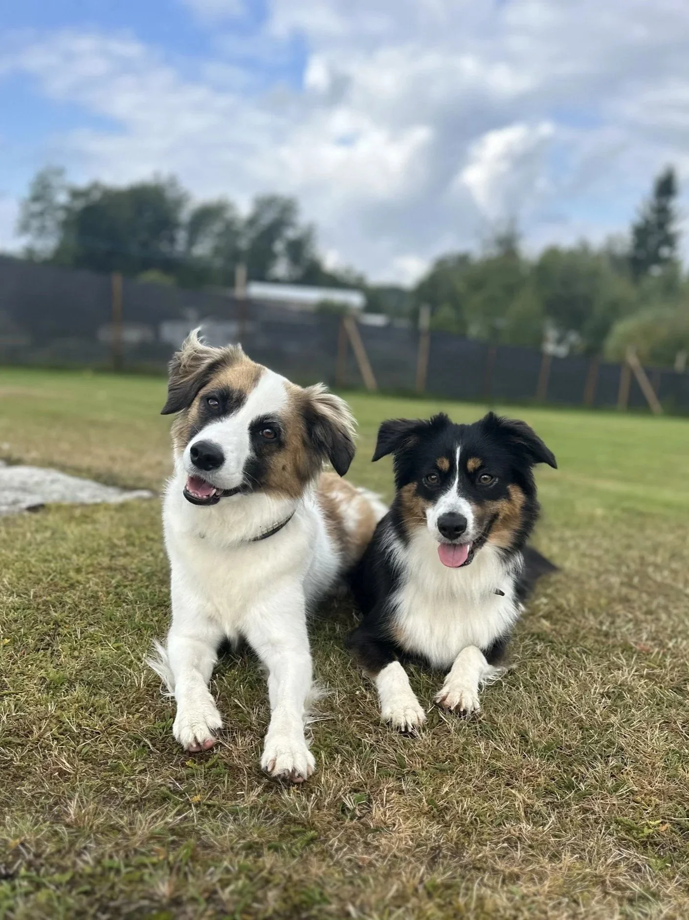 Inställd drop in vaccination 22/9