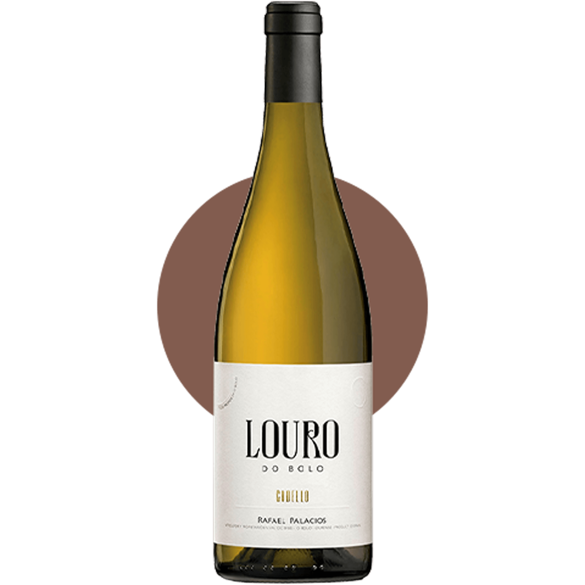 ▴ Rafael Palacios “Louro Do Bolo” 2024