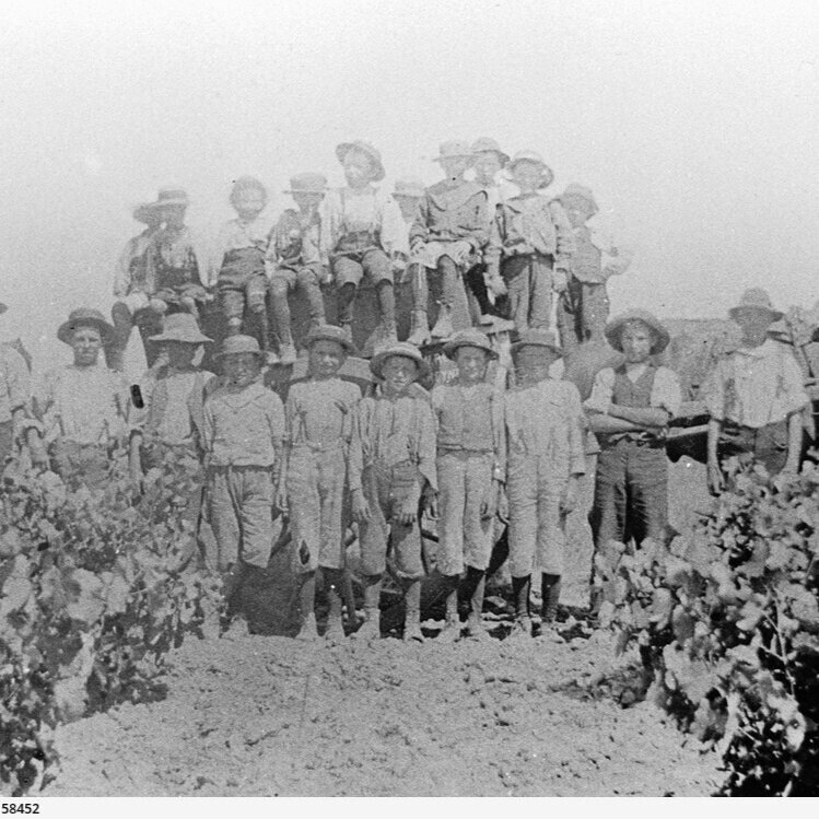 ▴&nbsp;Harvest team 1896