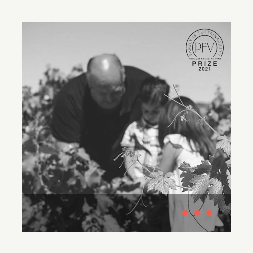 ▻ How Family Equals Sustainability episode artwork