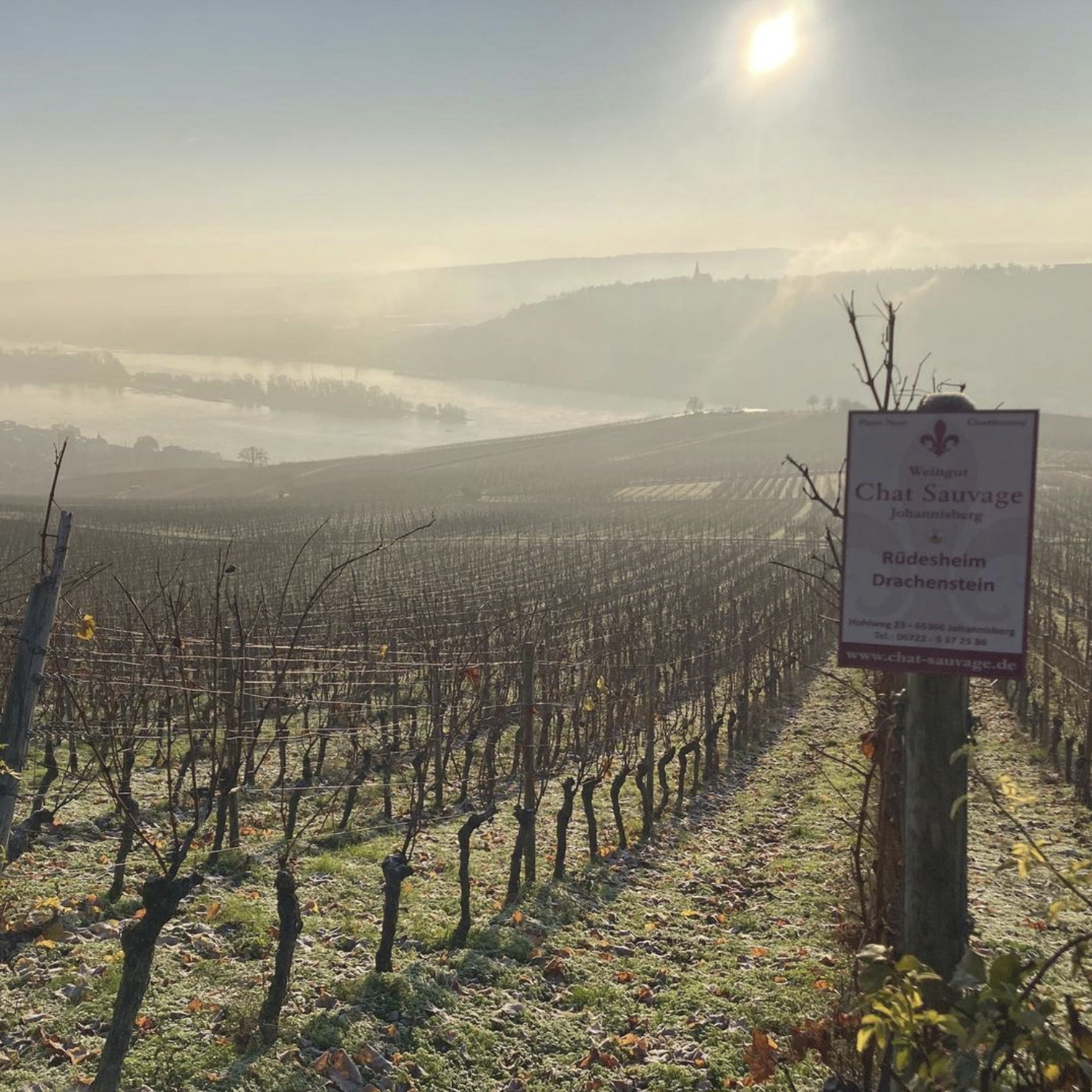 ▴ Weingut Chat Sauvage