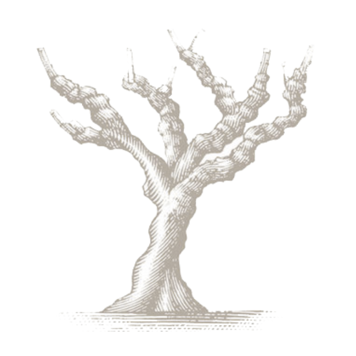 ▴&nbsp;Steven Noble Illustrations