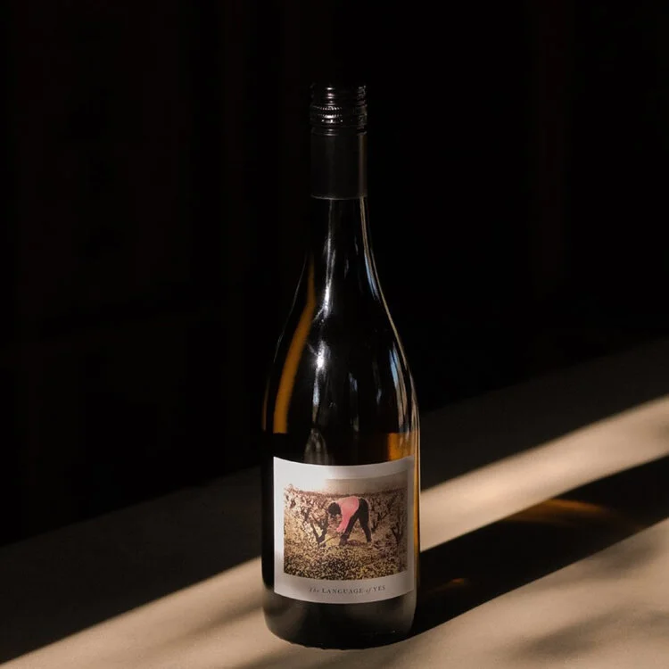 ▴ The Language of Yes