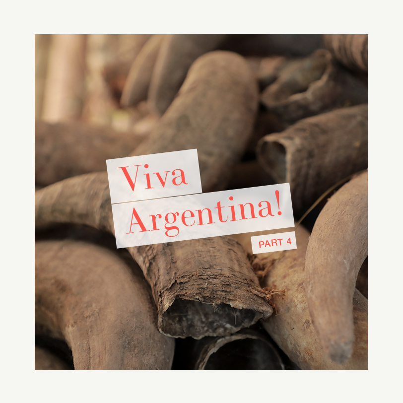 ▻ Viva Argentina! – Part Four episode artwork
