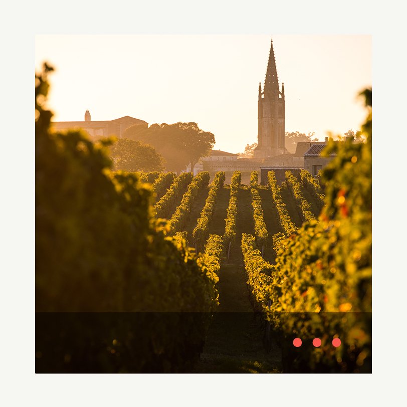 ▻ The New Saint-Emilion Classification episode artwork