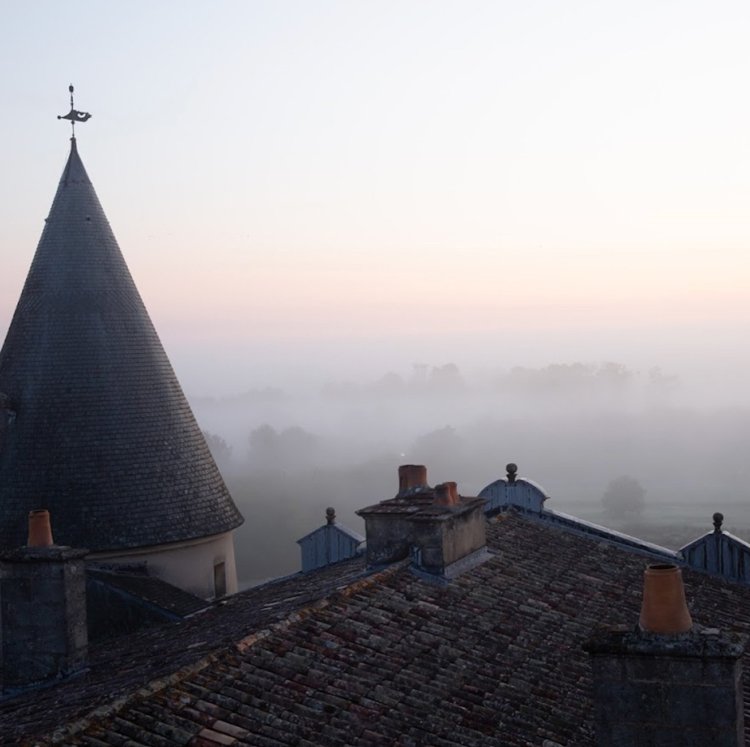 ▴ Château Lafite rooftops by @cdanonboileau