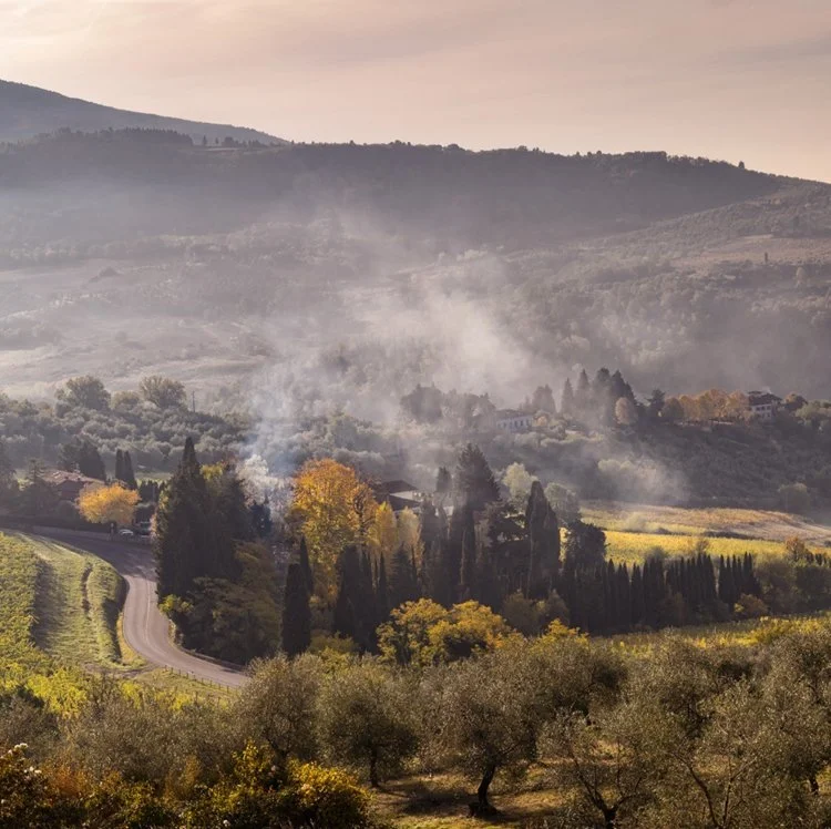 ▴ Castello Nipozzano