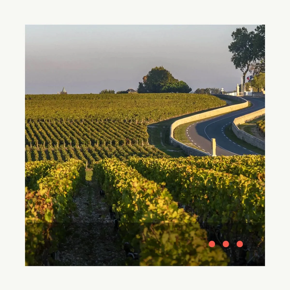 ▻ Bordeaux 2022 – on the road with Jane Anson episode artwork