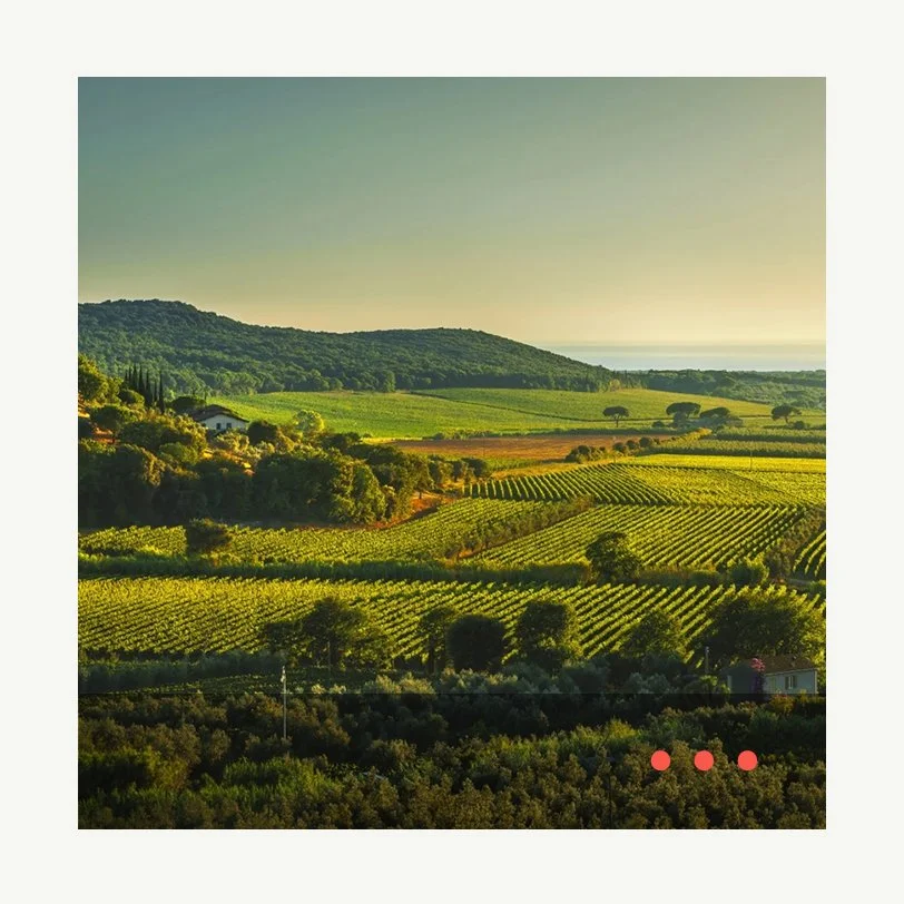Let's Talk About... Bolgheri with Nelson Pari and Federico Moccia