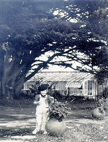 jean michel boy.jpg