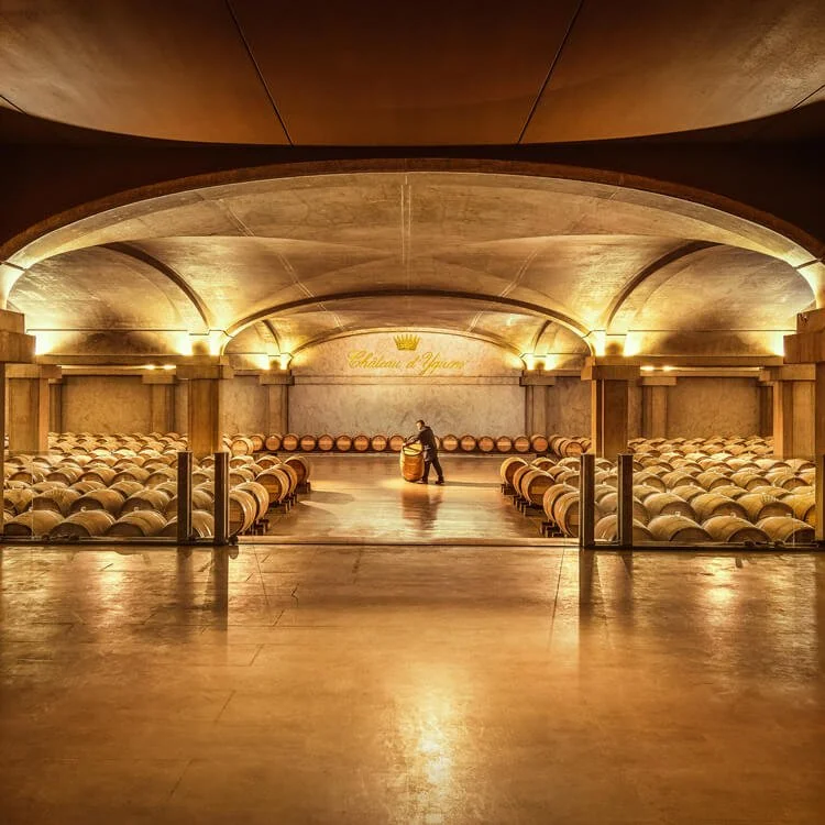 Chai-Château-d'Yquem-2023-(C)-Deepix-(1).jpg