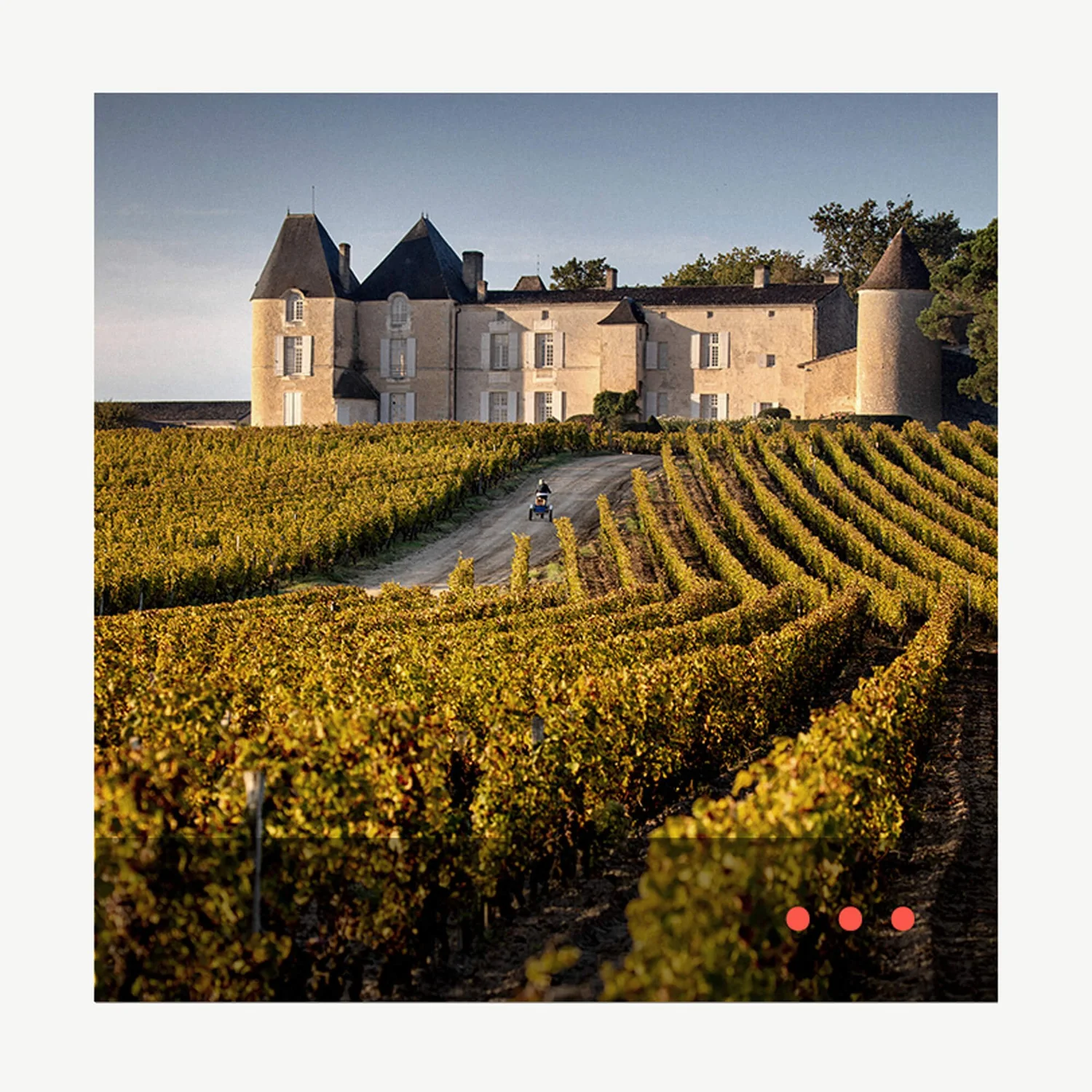 The Wine Conversation