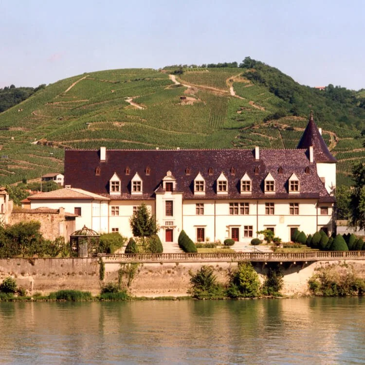 ▴ Château d'Ampuis