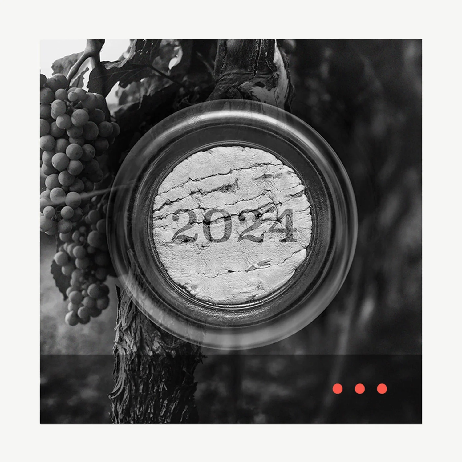 ▻ Bordeaux 2024 Vintage Challenges