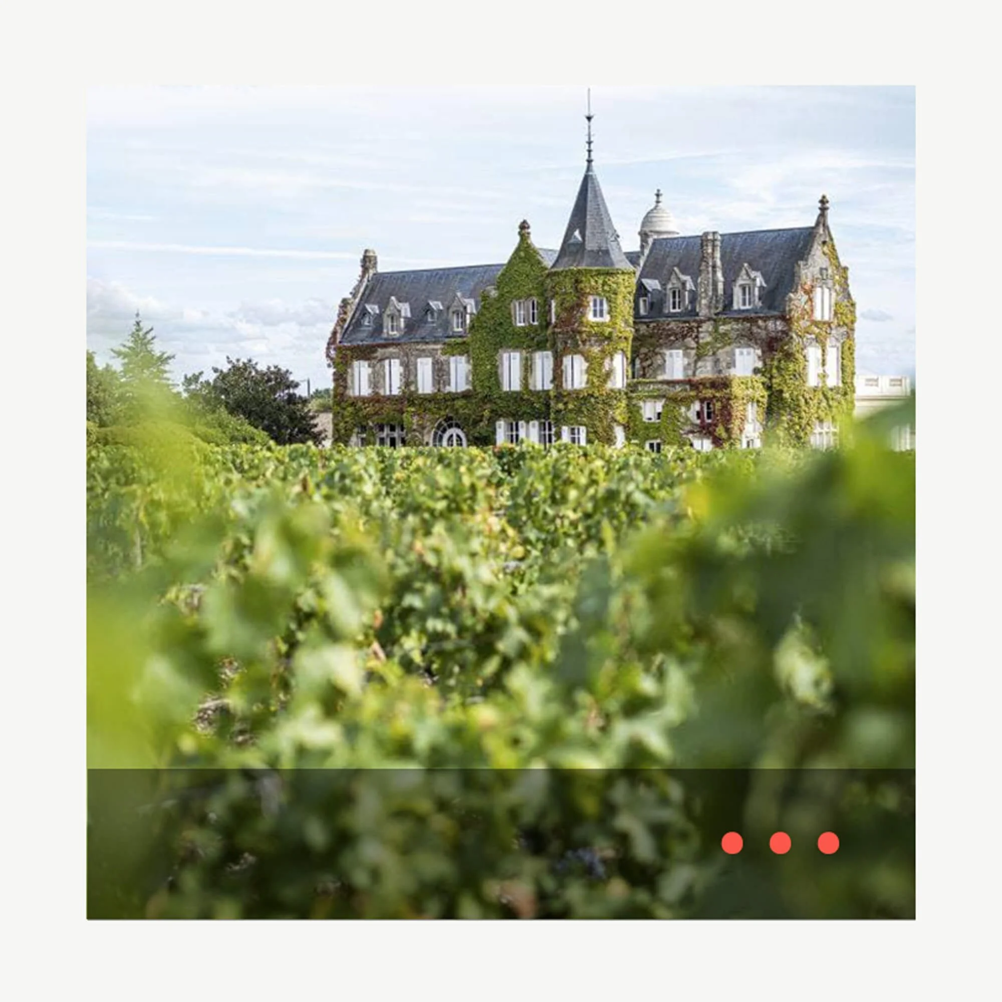 ✒ Château Lascombes