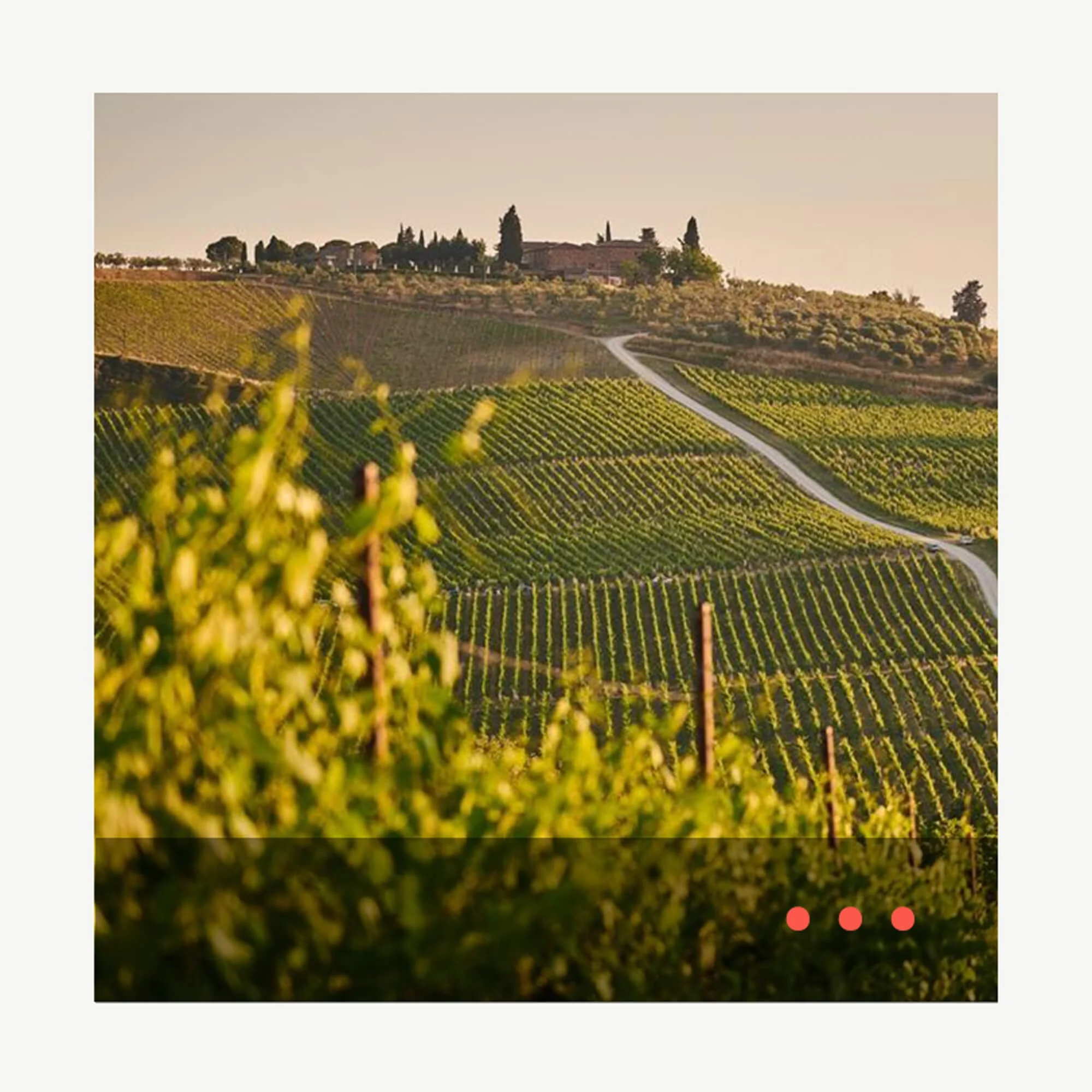 ✒ Why Now is Tuscany’s Golden Age