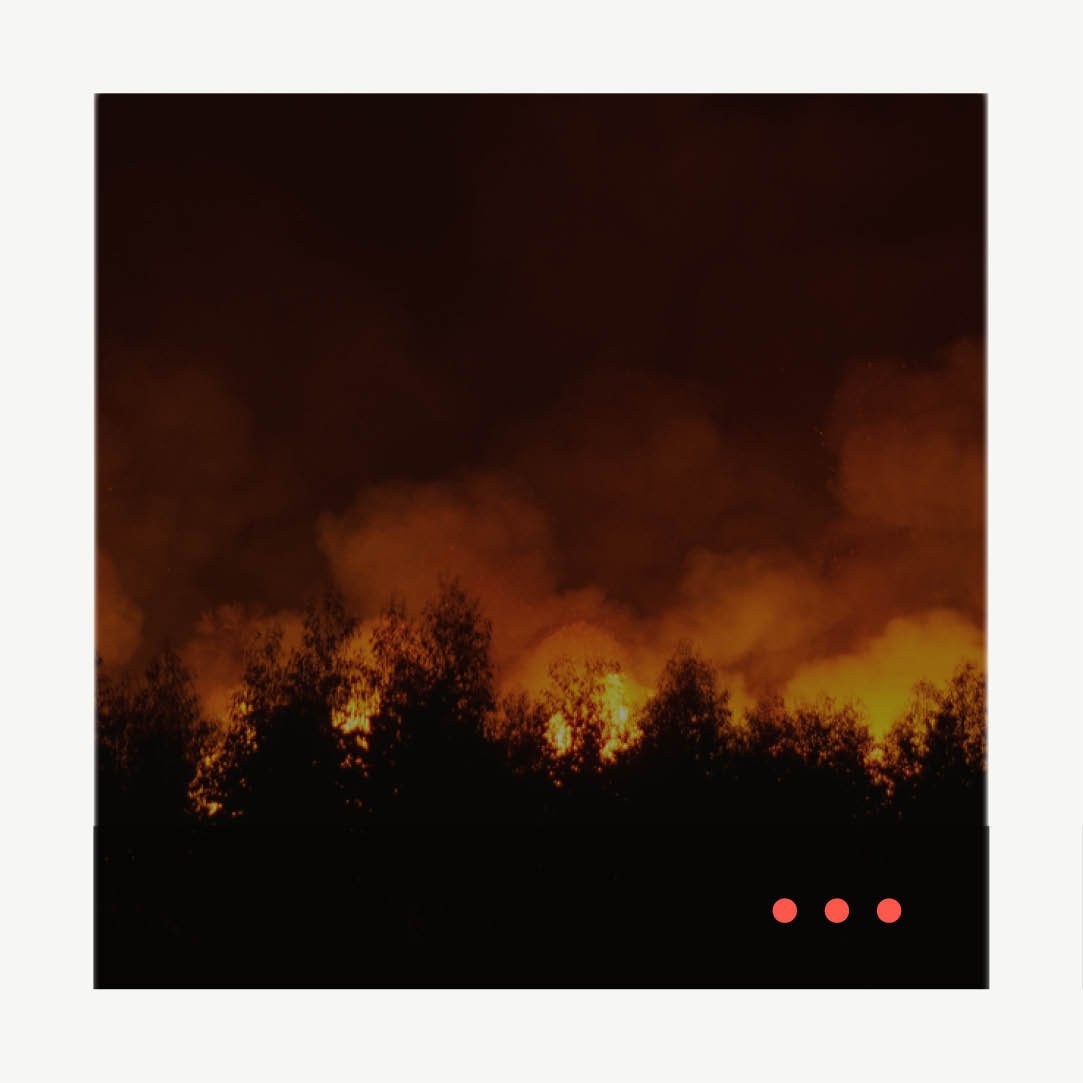 ▻ Bordeaux’s Wildfires