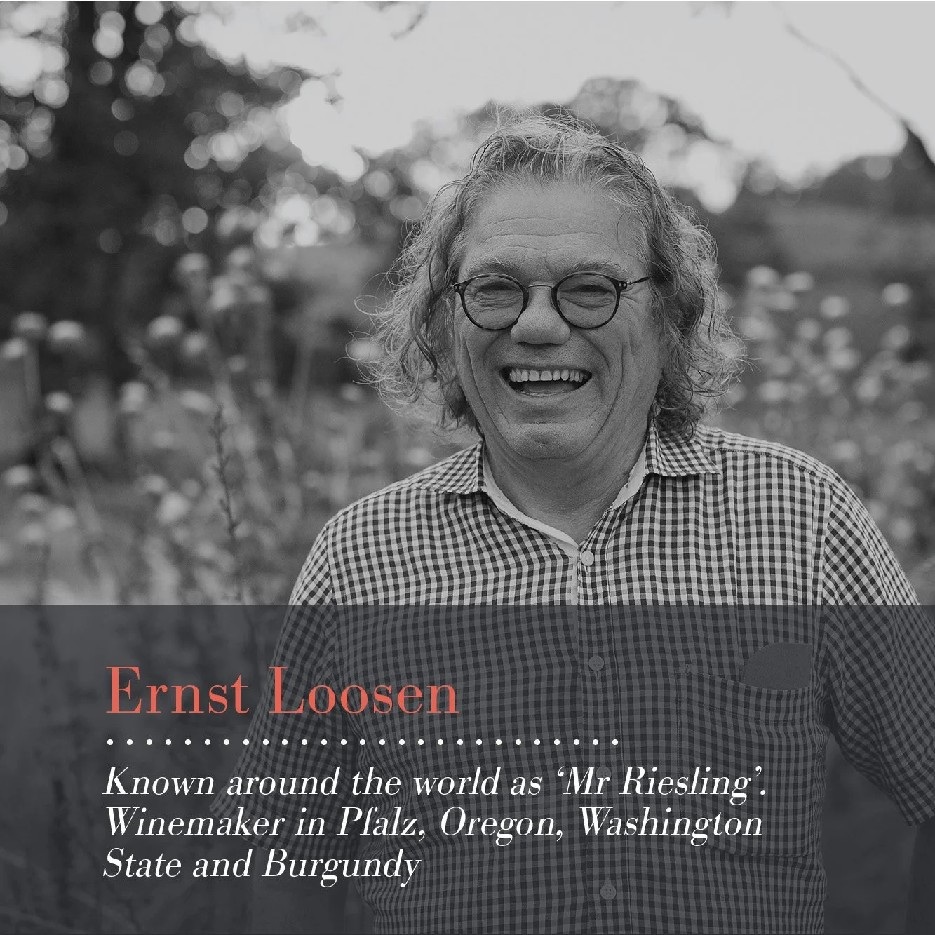 ▻ Ernst Loosen