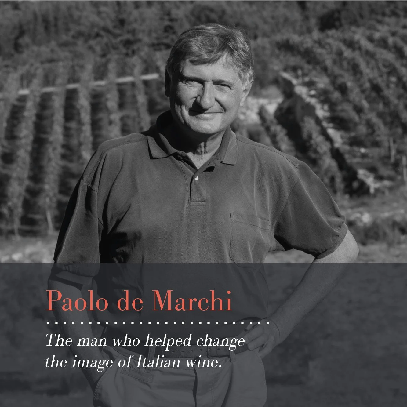 ▻ Paolo de Marchi