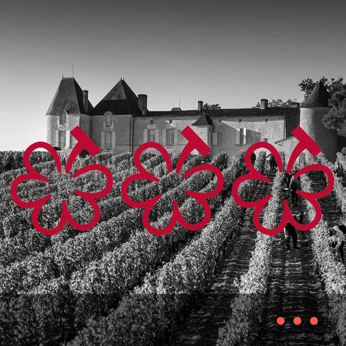 ▻ The Michelin’s Grape Guide to Bordeaux